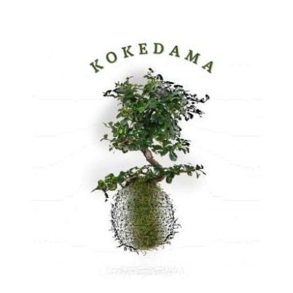 logo kokedama